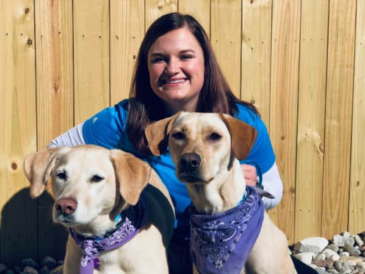 vets for pets merry hill phone number