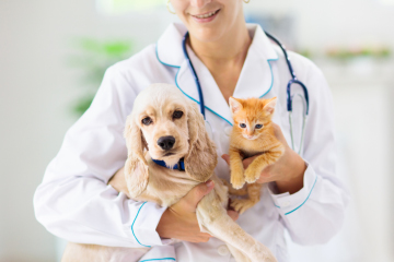 vet-cat-and-dog-1171733307